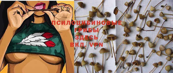 мдма Зеленокумск