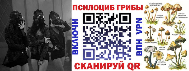 Купить где  Никольское  Псилоцибиновые грибы Psilocybine cubensis 