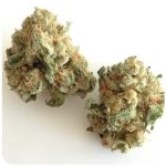 Шишки "White Widow"  (Белая вдова)  Гидропоника -  Бошка VHQ в Никольском